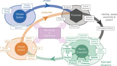 system usability scale